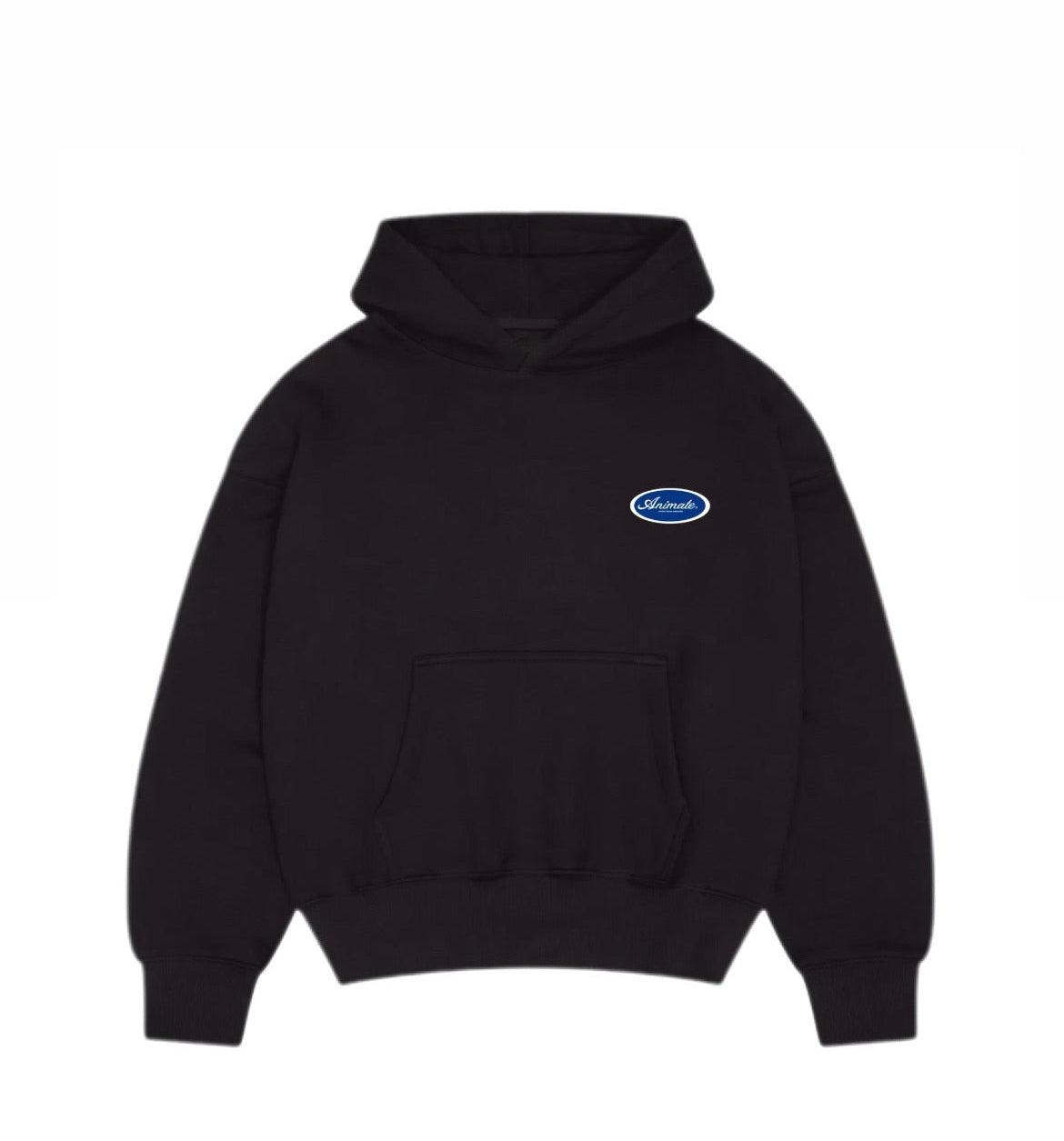 Animate Capsule Dept. Hoodie